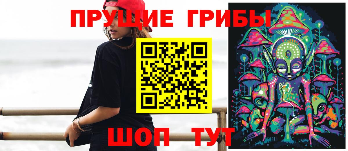 Галлюциногенные грибы Psilocybe  Галлюциногенные грибы Psilocybe  Новоуральск  Вход с VPN 
